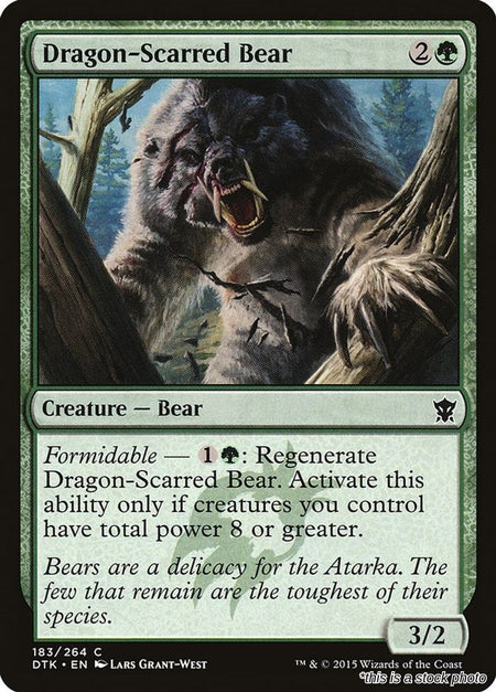 Dragon-Scarred Bear